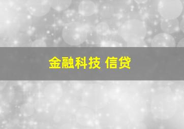 金融科技 信贷